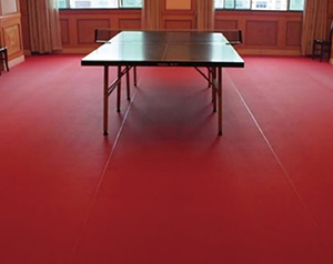 乒乓球場(chǎng)所