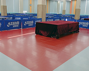 乒乓球場(chǎng)所