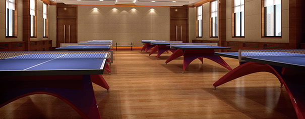 乒乓球場(chǎng)所
